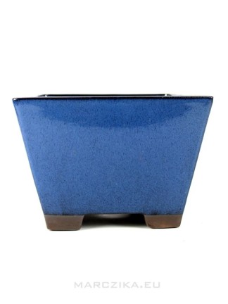 Dark blue chinese glazed bonsai pot for Kengai & Han Kengai style - 28,5 x 20 cm