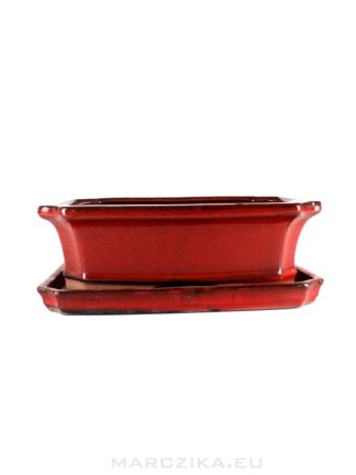 Red glazed bonsai pot with drip tray - 32 x 24 x 10