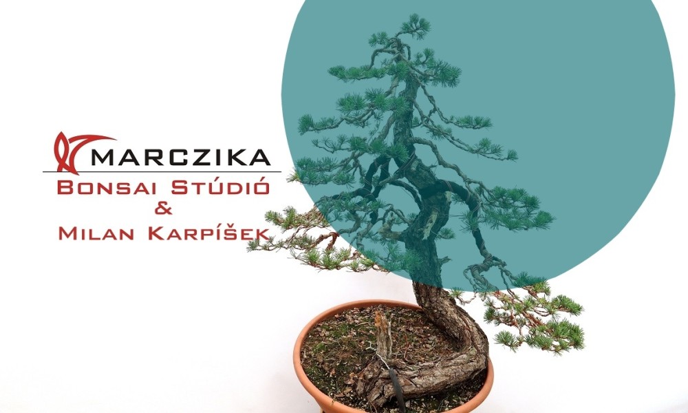 Bonsai Stúdiónk vendége ezúttal Milan Karpíšek volt