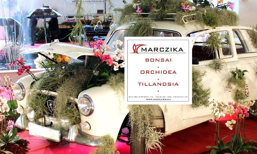 Hétvégi programajánló - Őszi kertészeti napok 2019. Budapest