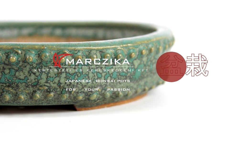Japán bonsai tálak mint igazi klasszikusok avagy szokatlan bonsai esztétika Magyarországon