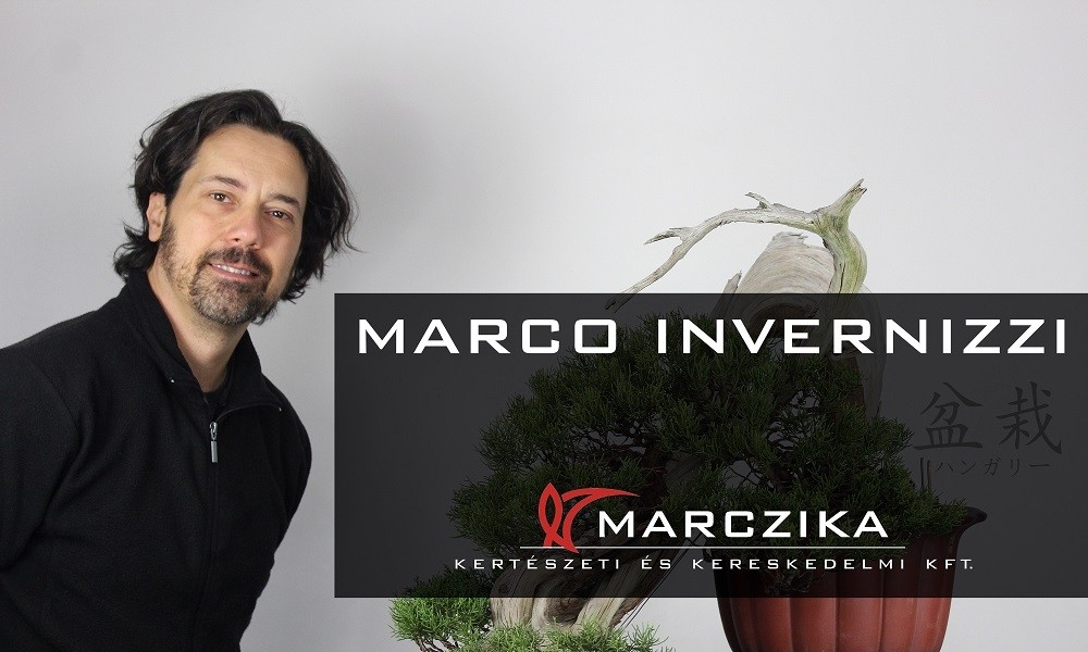 Marco Invernizzi volt bonsai stúdiónk vendége - fókuszban a japán bonsai!