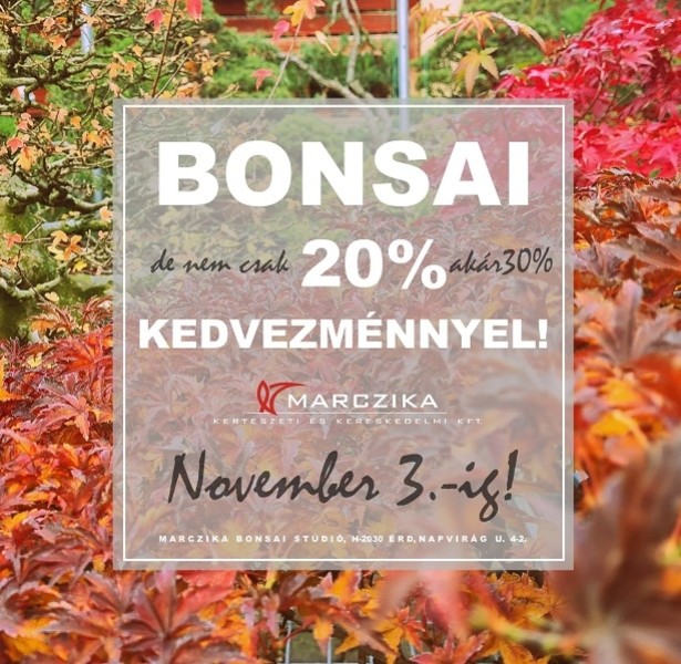 Bonsai sale week