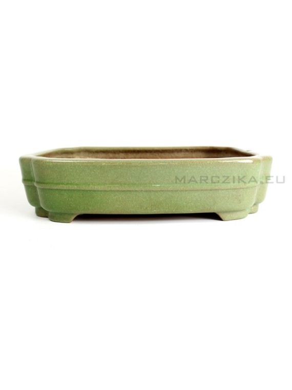 Hattori - Japanese bonsai pot 42 x 29 x 10 cm