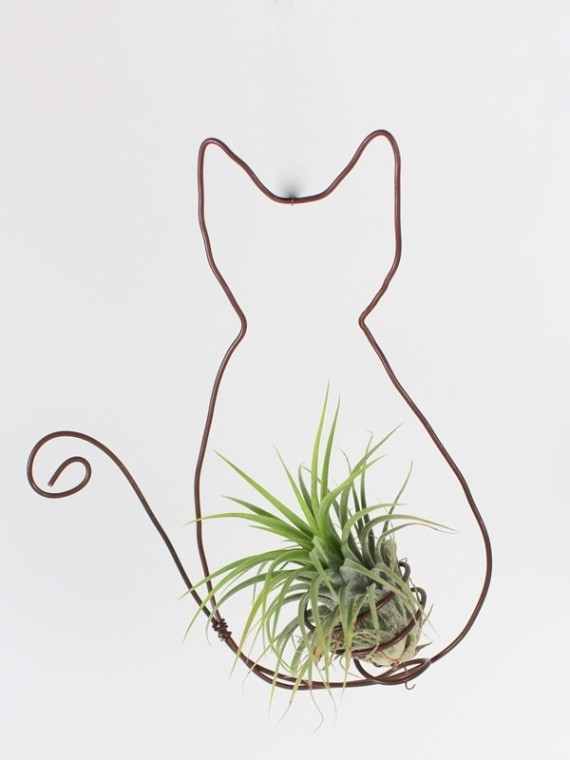 Tillandsia függeszthető dekoráció 