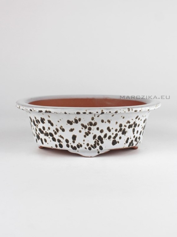 Spot pattern white glazed oval shohin bonsai pot 16.5 x 12 x 5.5 cm