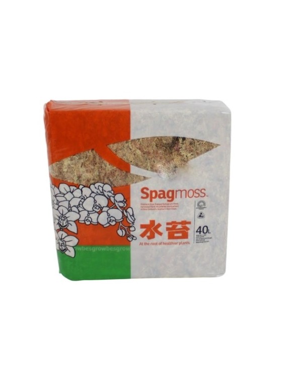 Prémium minőségű sphagnum 40L  (Classic AA)