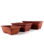 3 darabos bonsai tál készlet különböző méretben