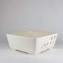 Square bonsai pot with a flower pattern on a white background 21,5 x 21,5 x 8,5 cm