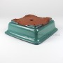 Green glazed square bonsai pot 21 x 21 x 6 cm