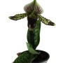 Paphiopedilum sukhakulii