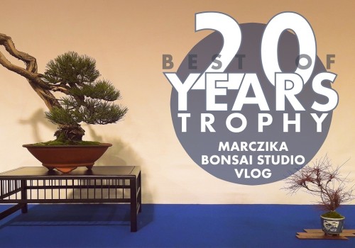 Best of 20 years Trophy - Marczika Bonsai Stúdió Vlog Belgiumból