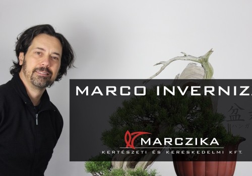 Marco Invernizzi was a guest of our bonsai studio - the focus is on Japanese bonsai!