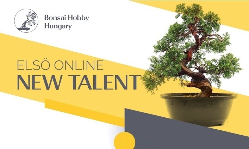 Első Online New Talent - bonsai alakító verseny 2021!