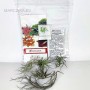 Ephiphyte pack 01. -  5pcs with tillandsia