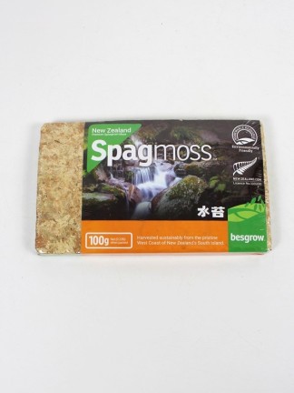 Sphagnum moss 100 g