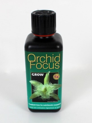 Orchid Focus 300 ml