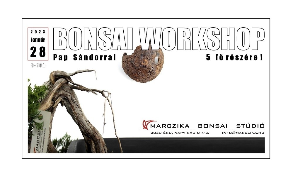 Bonsai workshop a Marczika Bonsai Stúdióban!
