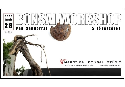 Bonsai workshop a Marczika Bonsai Stúdióban!